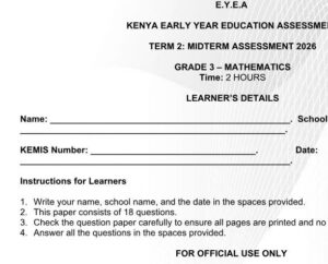 Grade 3 mathematics exam