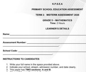 Grade 5 mathematics exam