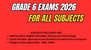 grade 6 exams for all subjects