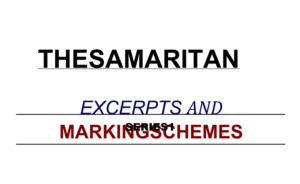 Samaritan Excerpts questions