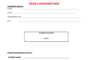 Grade 6 Assessment book