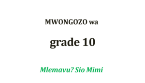 Grade 10 mlemavu sio mimi guide notes