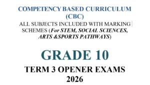 Grade 10 term 3 opener exams 2026