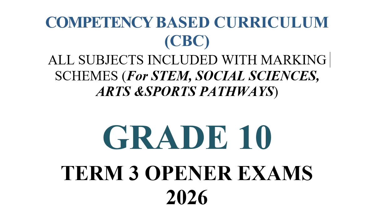 Grade 10 term 3 opener exams 2026 Grade 10 term 3 opener exams 2026