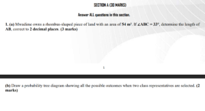 Grade 10 Core mathematics questions and answers term 3 pdf