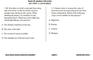 Grade 8 exam papers with answers pdf