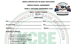 Grade 10 electricity end term 3 exam 2026