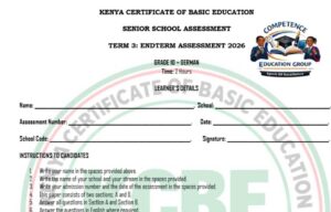 German Grade 10 end term 3 2026 exam