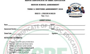 Literature Grade 10 end term 3 exam 2026
