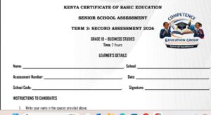 Grade 10 assessment exams term 3 2026