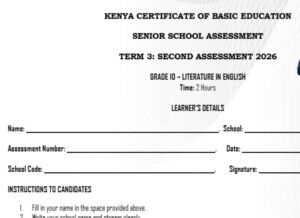 Grade 10 English literature exam term 3 2026