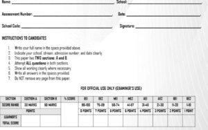 Grade 10 exams term 3 2026 full set