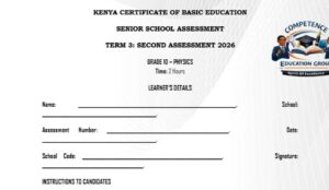 Grade 10 physics exam term 3 2026