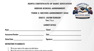 Grade 10 question papers term 3 with answers 2026
