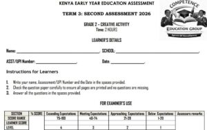Grade 2 creative arts term 3 exam