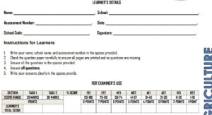 grade 6 exams 2026 pdf