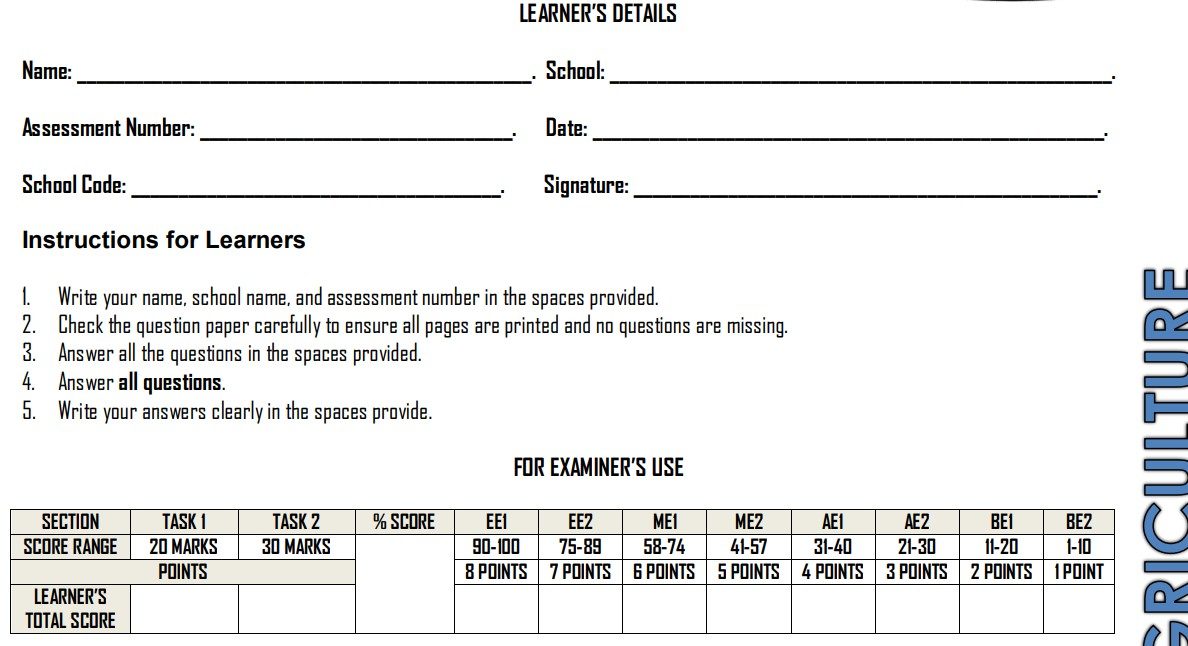 grade 6 exam 100kb grade 6 exams 2026 pdf