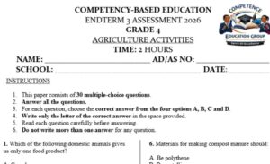 Grade 4 End of term 3 exam 2026